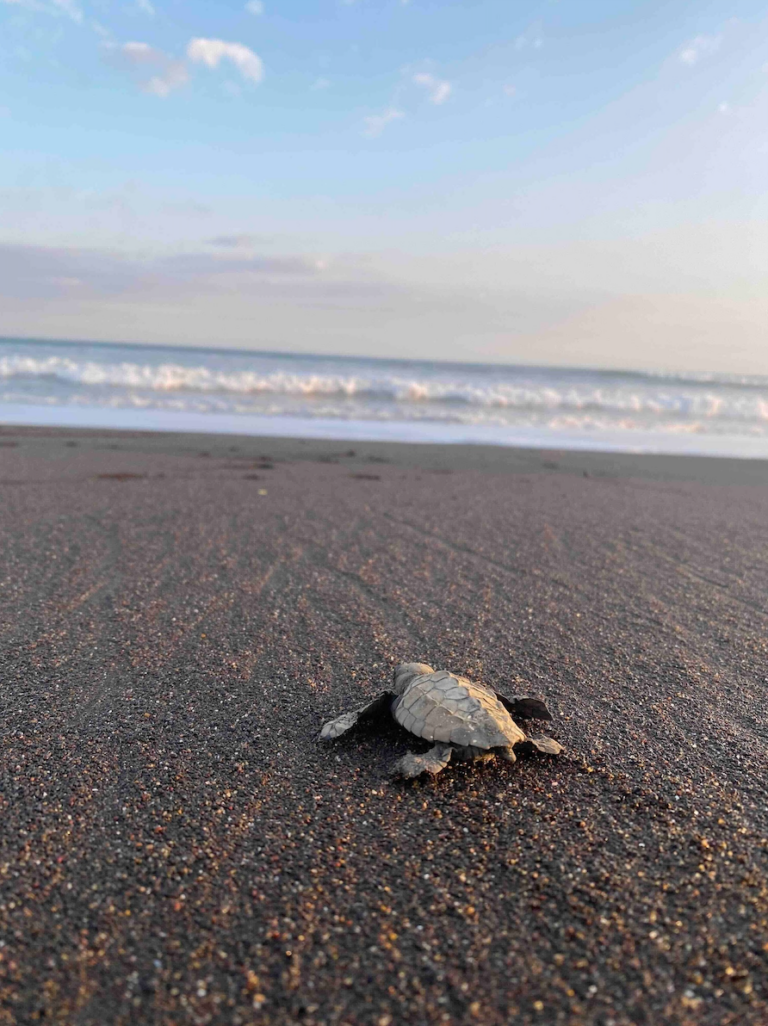 Mission environnementale au Costa Rica
