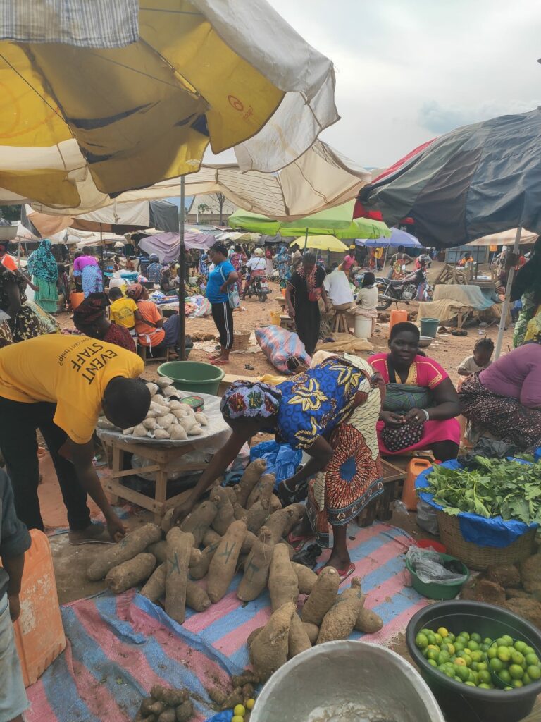 Voyage solidaire en Afrique