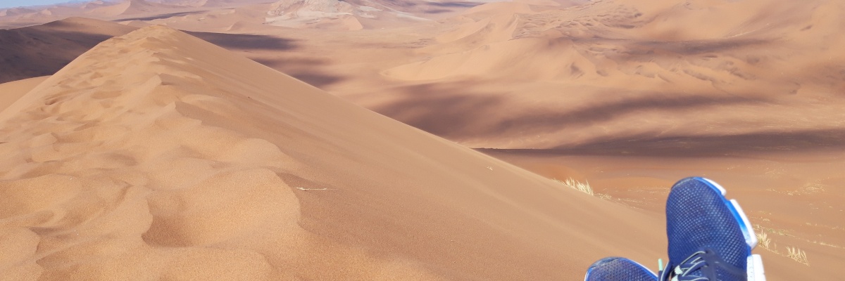 découvrir le désert de Namibie