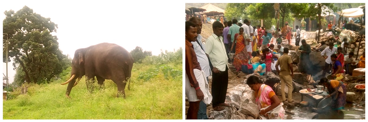 Volontaire humanitaire Mission en inde