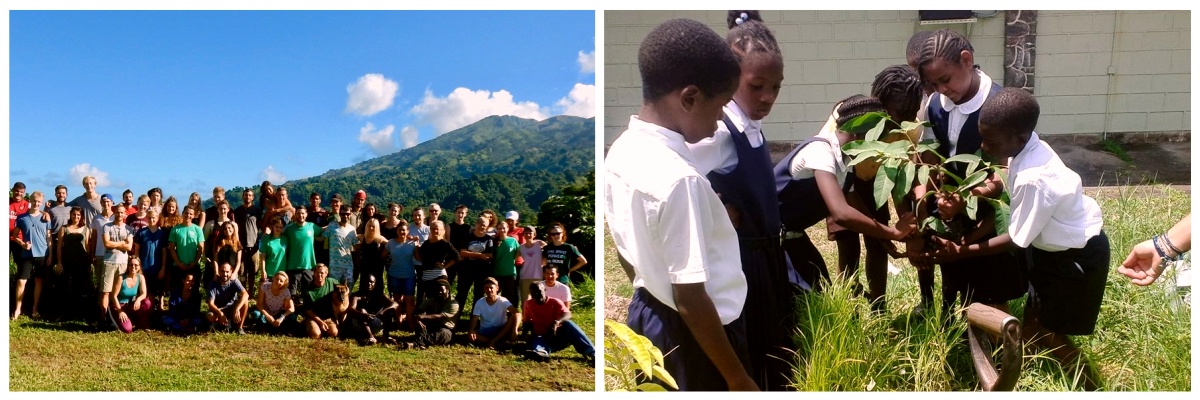 Volontariat international de service écologique Bénévolat dans les caraïbes