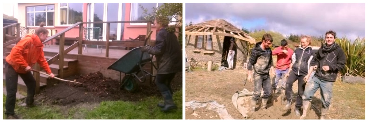 Volontariat européen en service écologique voyage nature en Irlande