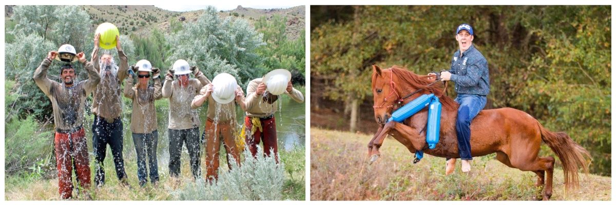 benevolat-ranch-grand-canyon-ecovolontariat