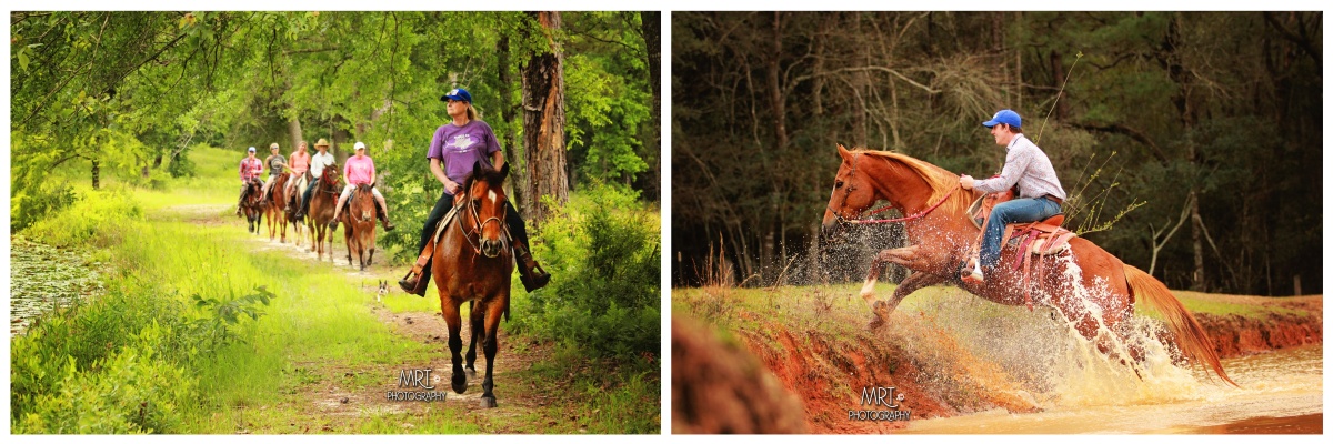 En immersion dans un ranch