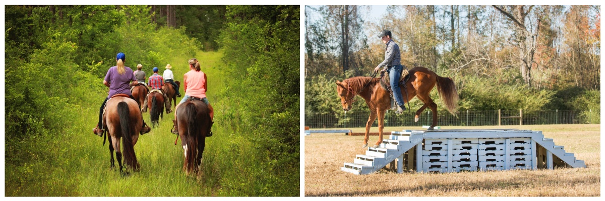 Travailler dans un ranch du Mississippi 