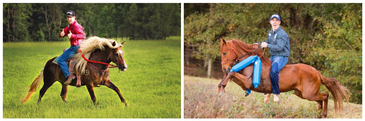 Stage dans un ranch américain