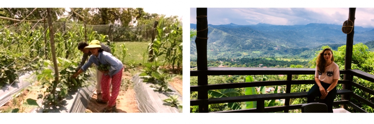 Gap year en Colombie