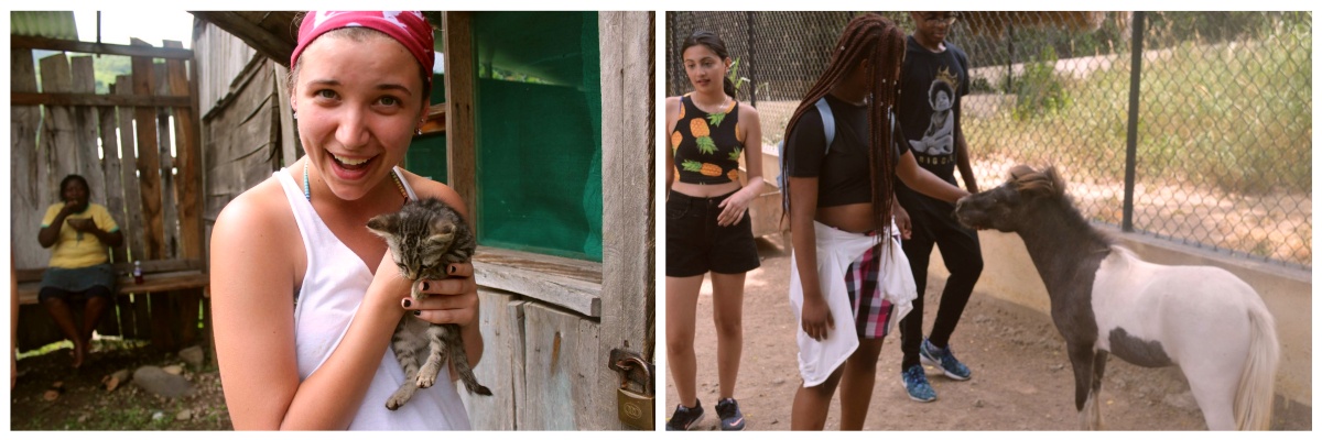 Volontaire en service dans un refuge à l'internationall volontariat animalier