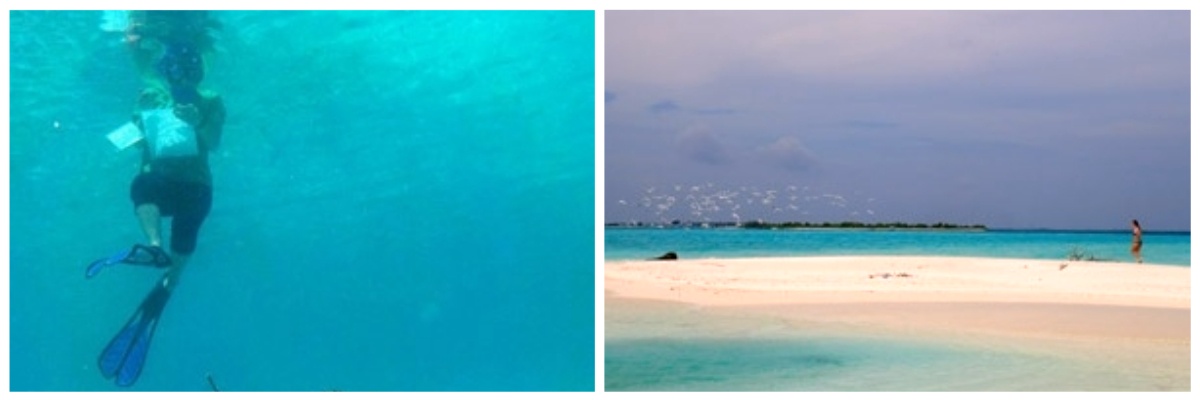 Eco volontariat international en service à l'étranger Stage étudiant aux Maldives
