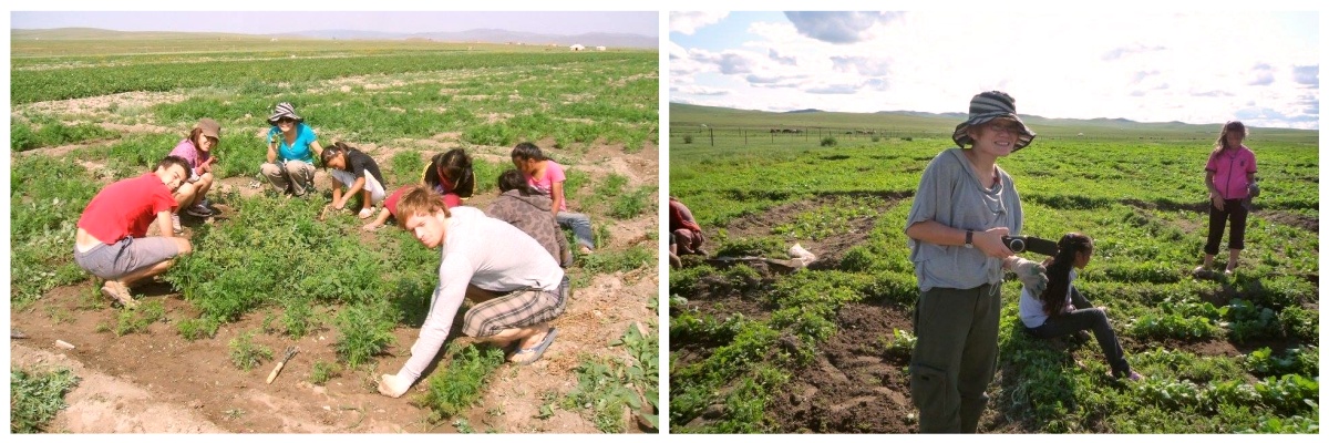 Mission humanitaire en Mongolie dans une ferme Chantier d'été dans une ferme à l'étranger