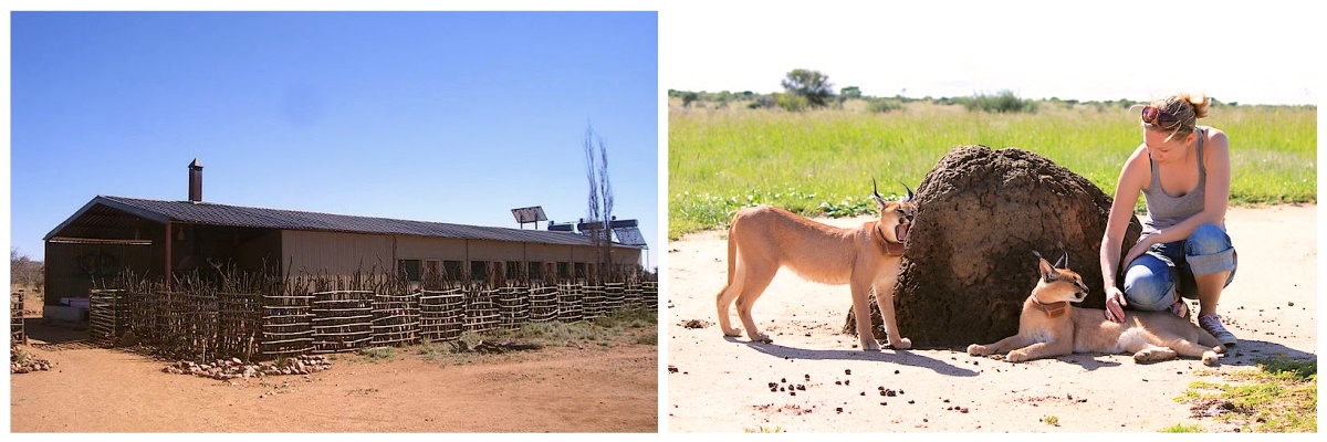 Travailler dans une réserve animalière en Namibie 