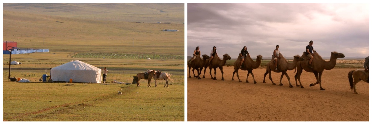Stage étudiant en Mongolie toute l'année Cherche stage étudiant en Asie