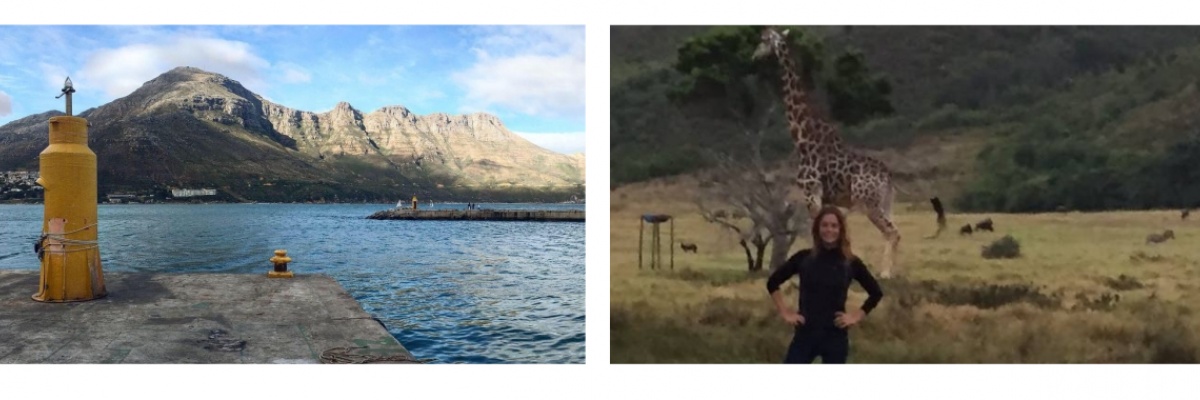 Mission animalière en Afrique du sud Stage de protection des animaux