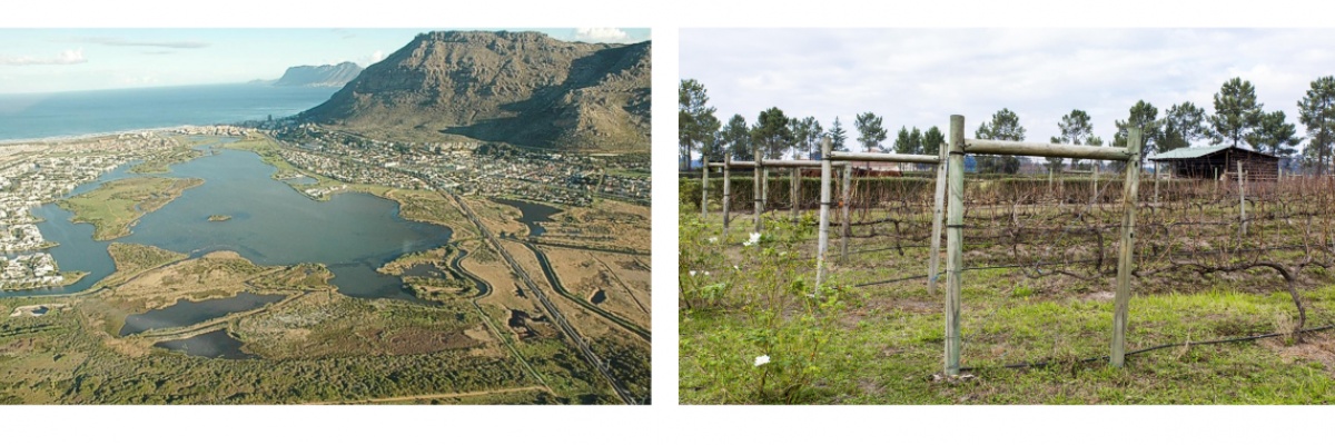 Stage dans un vignoble Découvrir la viniculture en Afrique du Sud