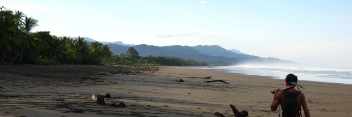 bénévolat d'éco-volontariat dans les parcs nationaux du Costa Rica Stage étudiant au Costa Rica