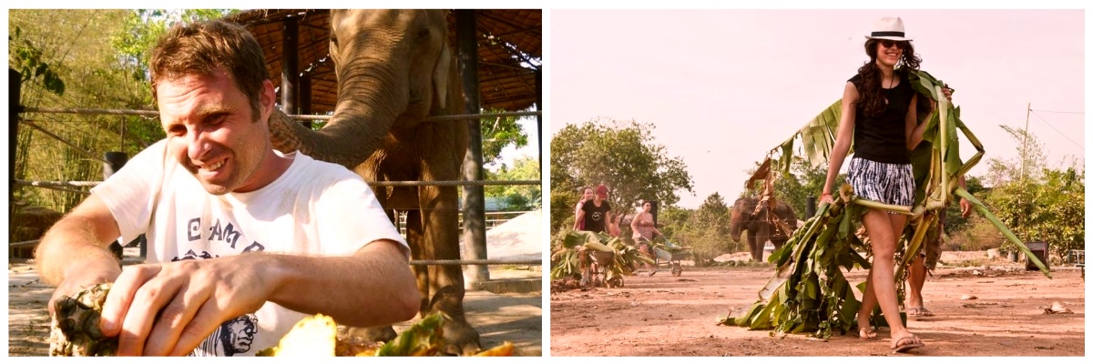stage avec les animaux en Thaïlande 