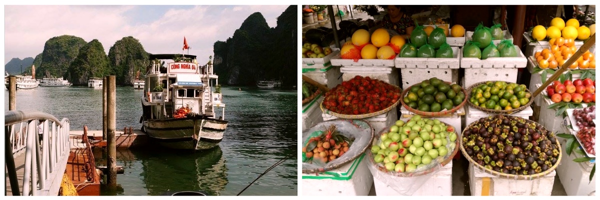 Voyage solidaire au Vietnam Volontariat en service au Vietnam