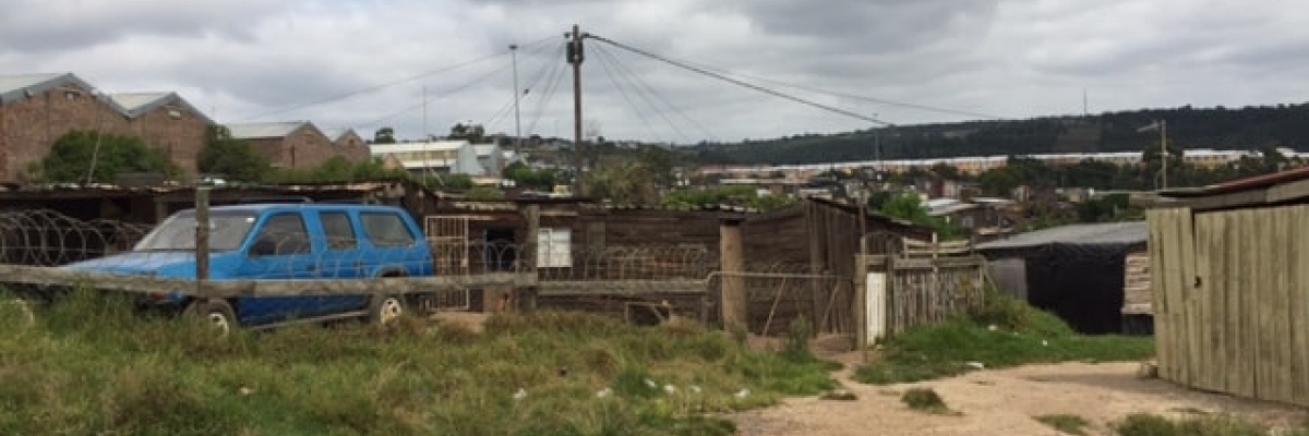 Volontariat dans un refuge en Afrique du sud Vous rejoindrez un refuge animaux domestiques abandonnés