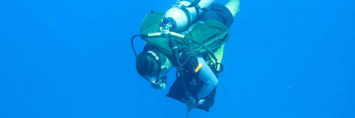 Volontariat écologique au Mexique Mission de protection des océans