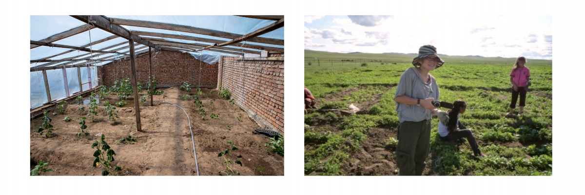 Mission humanitaire en Mongolie dans une ferme Chantier d'été dans une ferme à l'étranger