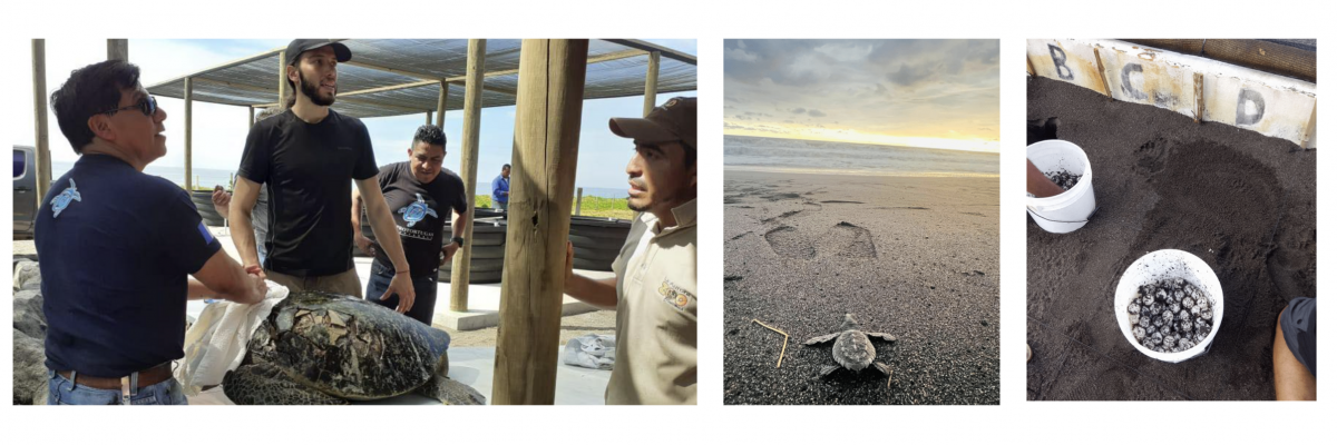 Apprendre l'espagnol en mission humanitaire sejour-linguistique-stage-humanitaire-guatemala