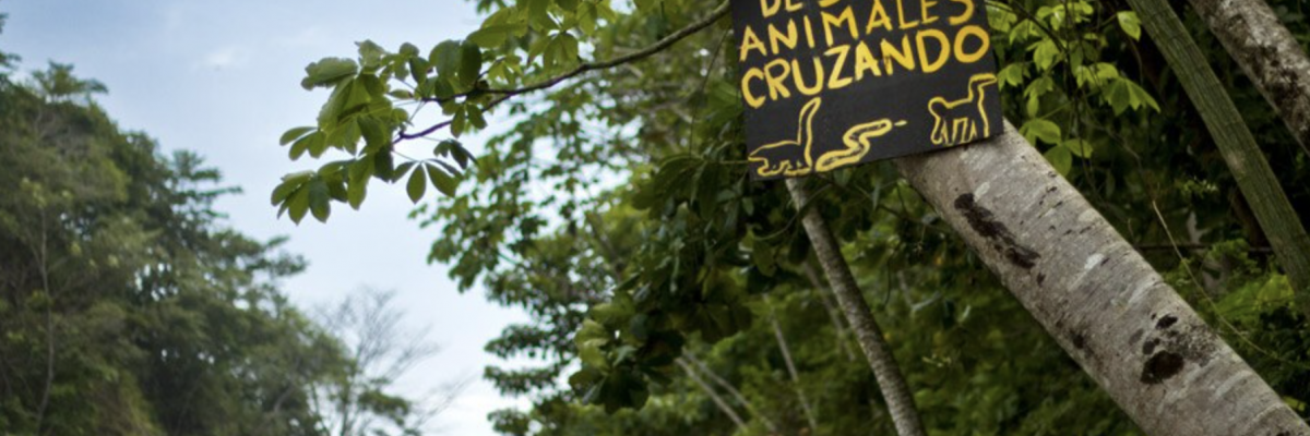 Conservation Biodiversité Costa Rica