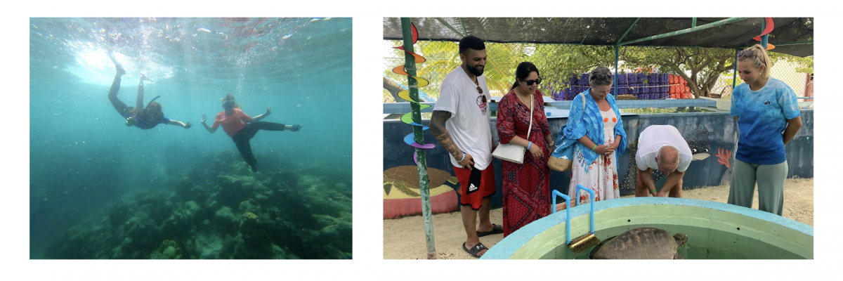 sauvegarde et conservation de la vie marine dans l’Océan indien. Volontariat international