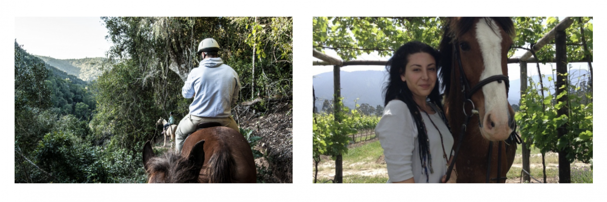 Participer à une mission humanitaire en travaillant avec les chevaux dans un centre équestre en Afrique du Sud cours-anglais-international-equitation