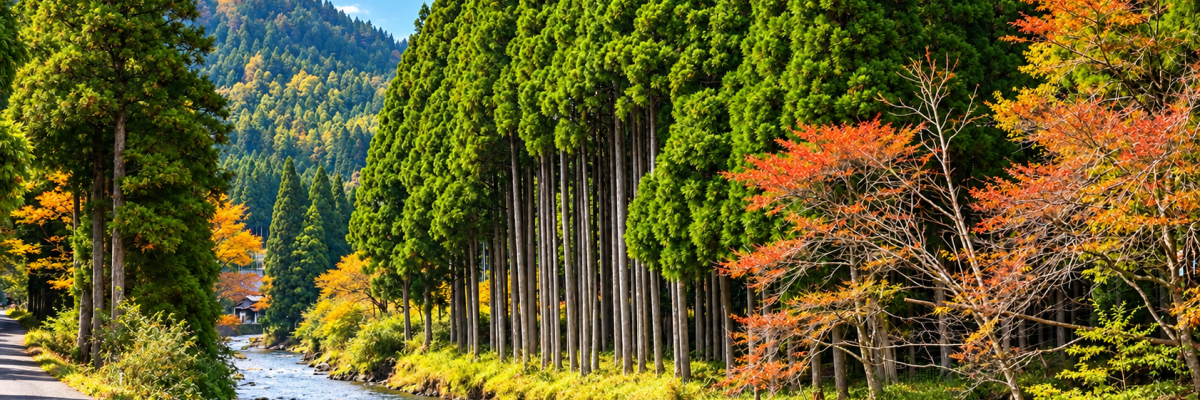 Paysage naturel du Japon avec une rivière traversant une forêt au pied des montagnes