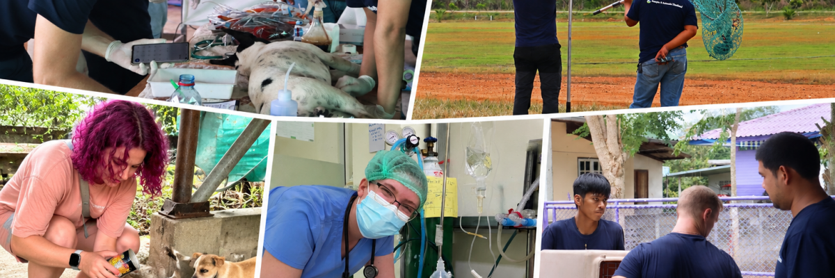 Équipe locale et participant engagés dans la protection animale en Thaïlande