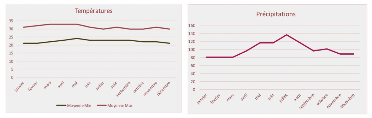 climat-auckland-temperatures-quand-visiter