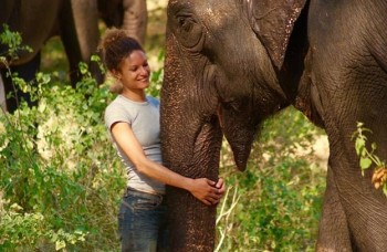 Sanctuaire pour éléphants en Asie 