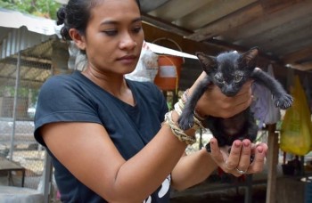 Centre de réhabilitation de la faune sauvage en Thailande Stage animalier à l'étranger