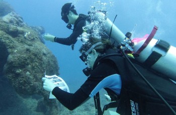 Stage de plongée sous-marine dans les caraïbes 