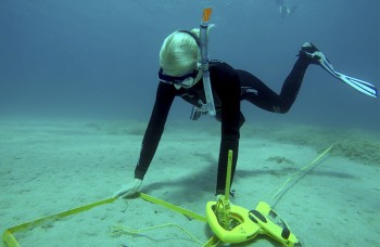 Stage d'écologie marine en Grèce 