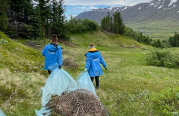 mission-de-reforestation-en-islande