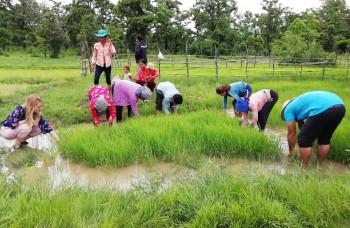 mission-humanitaire-cambodge