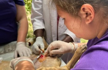 Sensibilisation à la conservation de la faune en Tanzanie