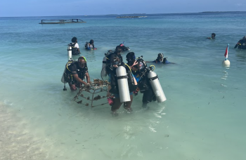 Bénévoles aux Maldives 