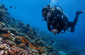 Plongeuse observant un récif pendant une plongée de conservation marine en Afrique du Sud