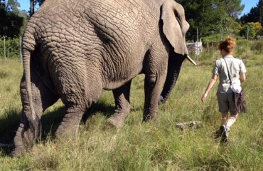 Stage animalier en Afrique du Sud