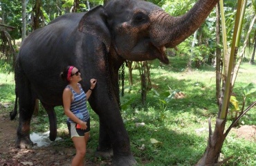bénévole animalier au Sri Lanka