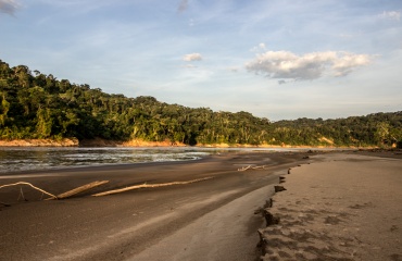 Voyage en terre inconnue dans la jungle bolivienne