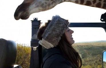 Réserve animal en Afrique du Sud