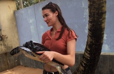Mission de protection des tortues au Sri Lanka