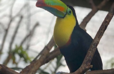 Parcs nationaux au Costa Rica