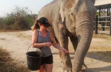 Volontariat animalier en Thaïlande