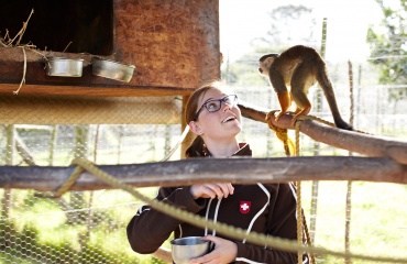 Volontariat international animalier