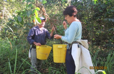 Volontaire dans une ferme en Colombie