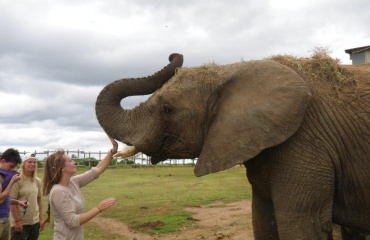 A la rencontre des animaux en afrique